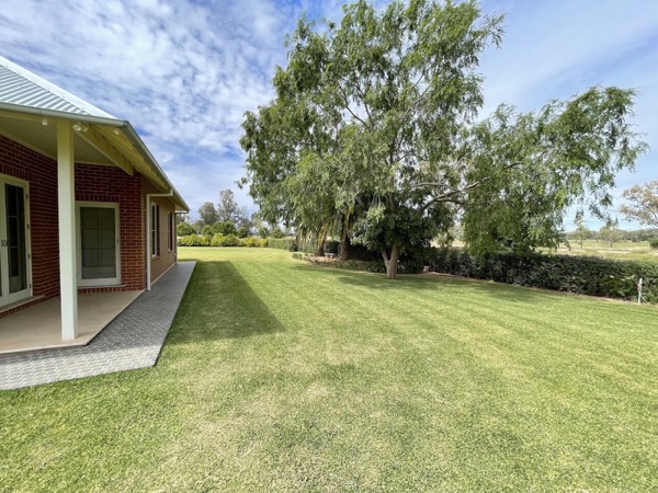 A brick house behind a wide green lawn and gum trees