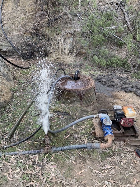 Water flowing from a bore riser in bushland